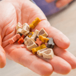 Prirodne poslastice za pse u ruci